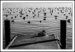 -img_0031_version2.jpg