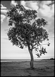 Speedlite 420EZ = Poubelle ?-130806-plages-21-2.jpg