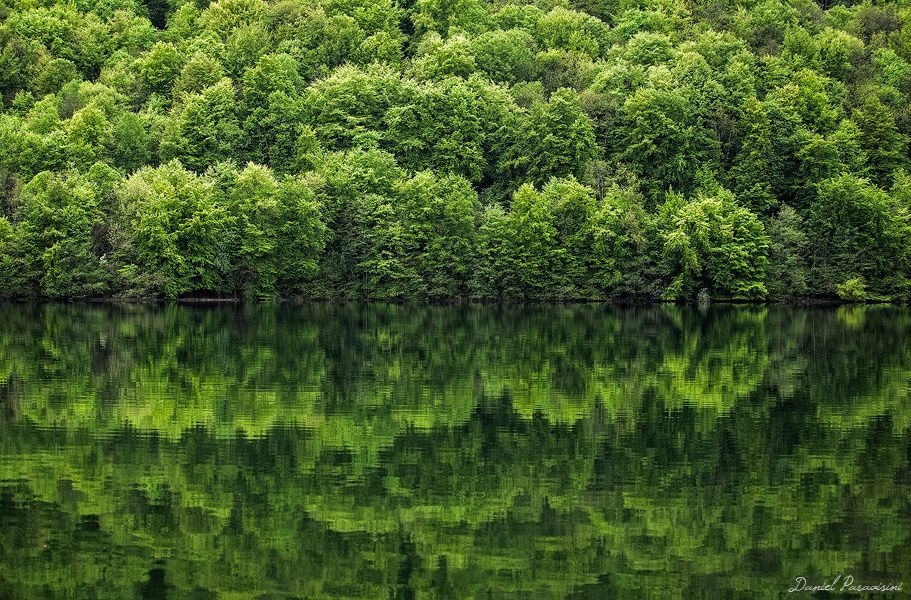 Reflets
Jura, France (2013)