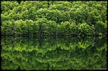 Reflets 
Jura, France (2013)