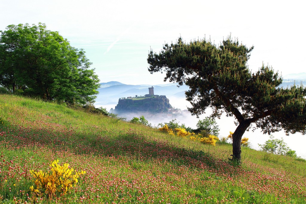 -polignac-3b.jpg