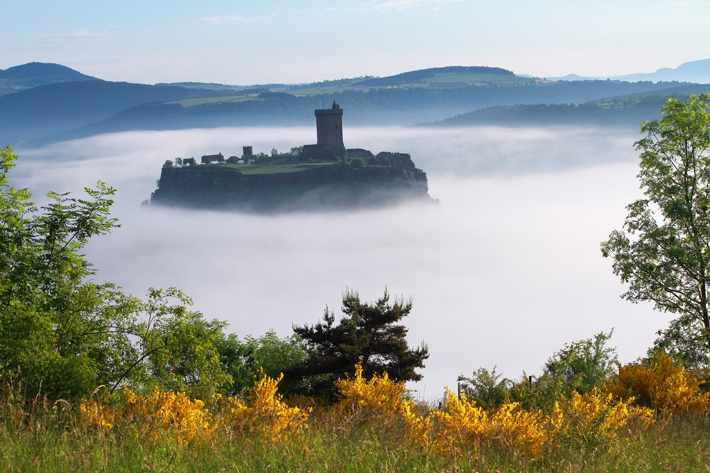 -polignac-1b.jpg