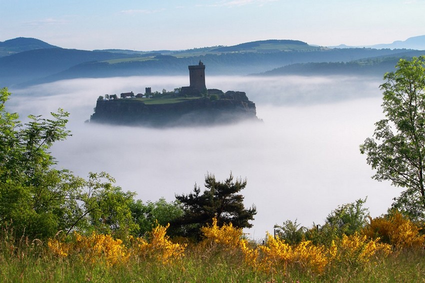 -polignac-1d.jpg