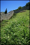 Un de plus-img_1838comp.jpg