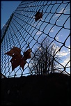 -img_0348comp.jpg