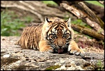 -_mg_7783-site.jpg