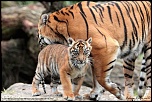 -_mg_6951-site.jpg