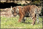 -_mg_6901-site.jpg