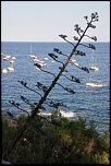 -img_6862comp.jpg