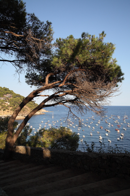 -img_6855comp.jpg