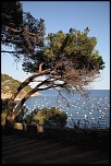 -img_6855comp.jpg