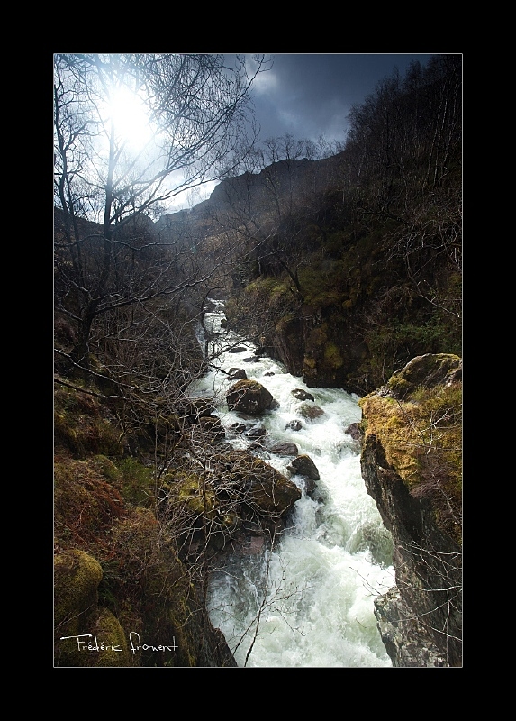 firmware-torrent-glencoe.jpg