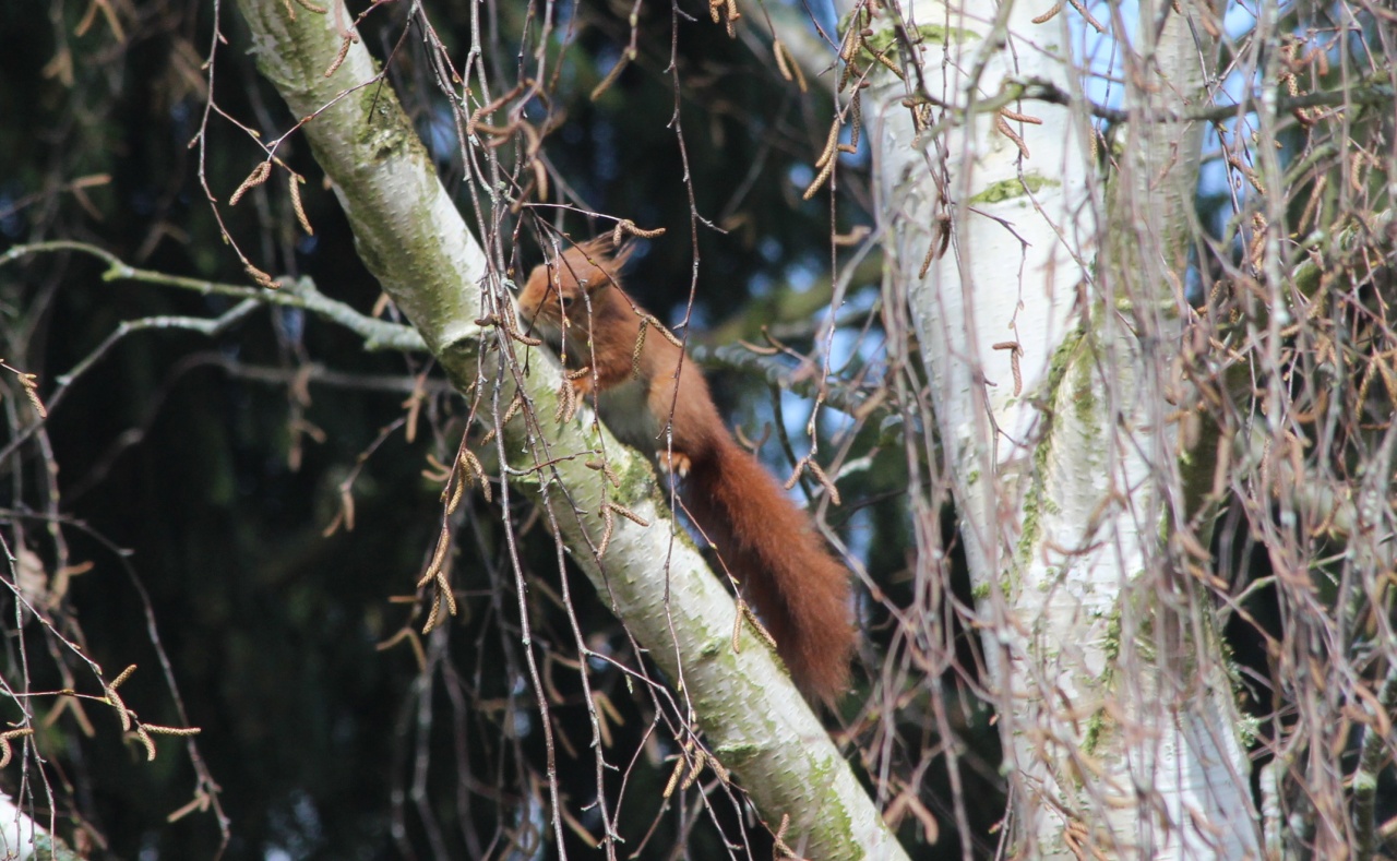 70-300 Sigma APO-img_5794.jpg