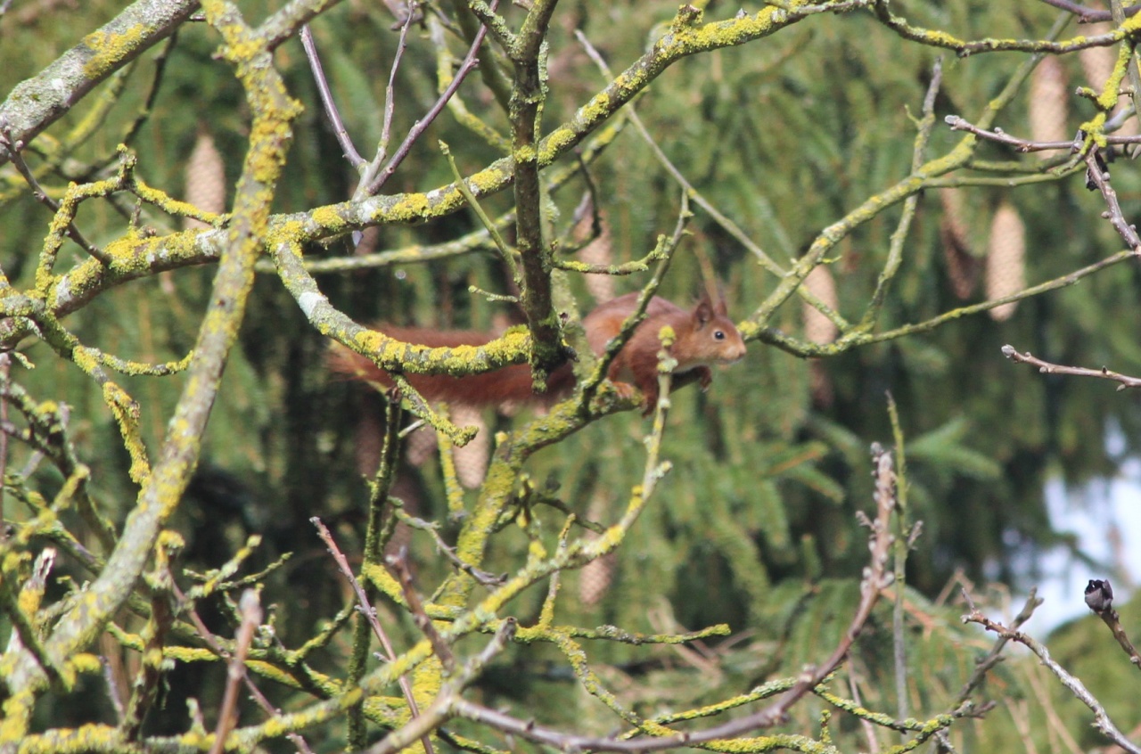 70-300 Sigma APO-img_5787.jpg