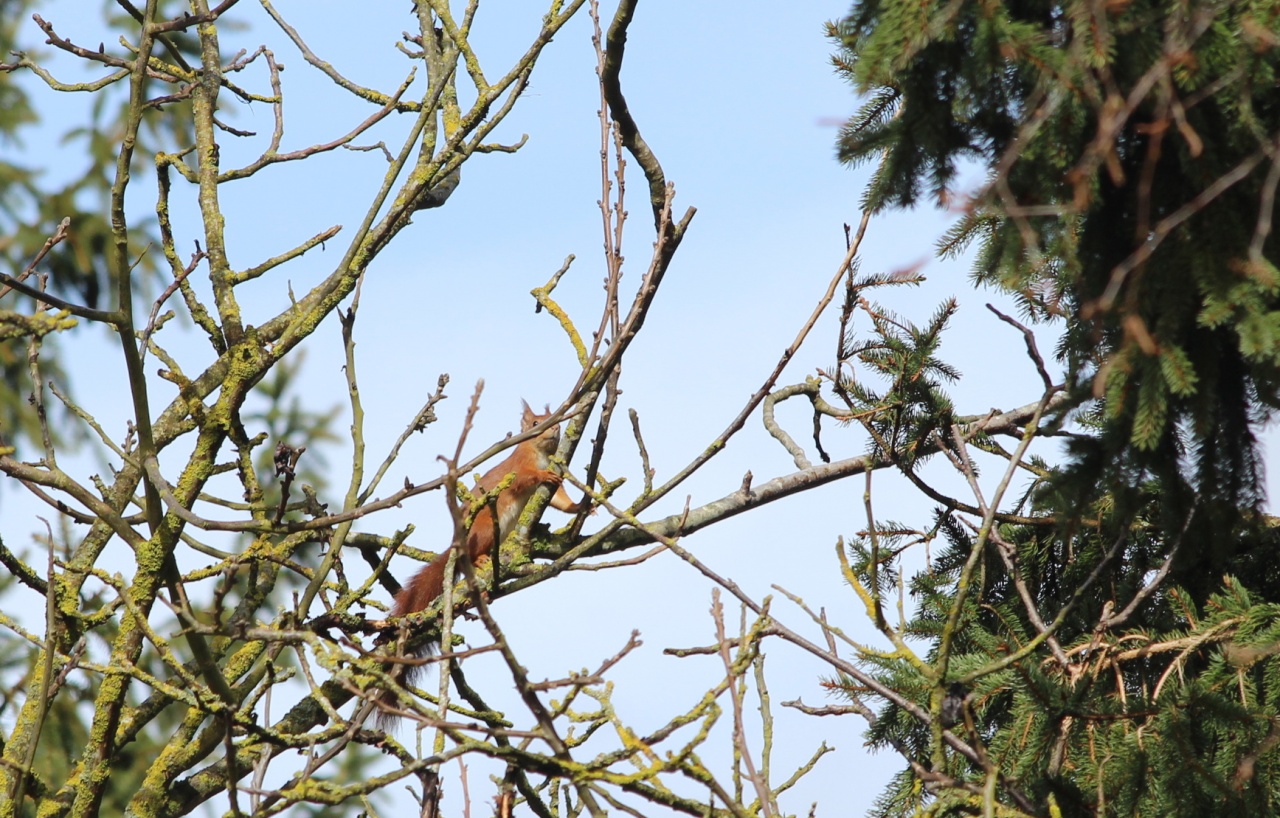 70-300 Sigma APO-img_5789.jpg