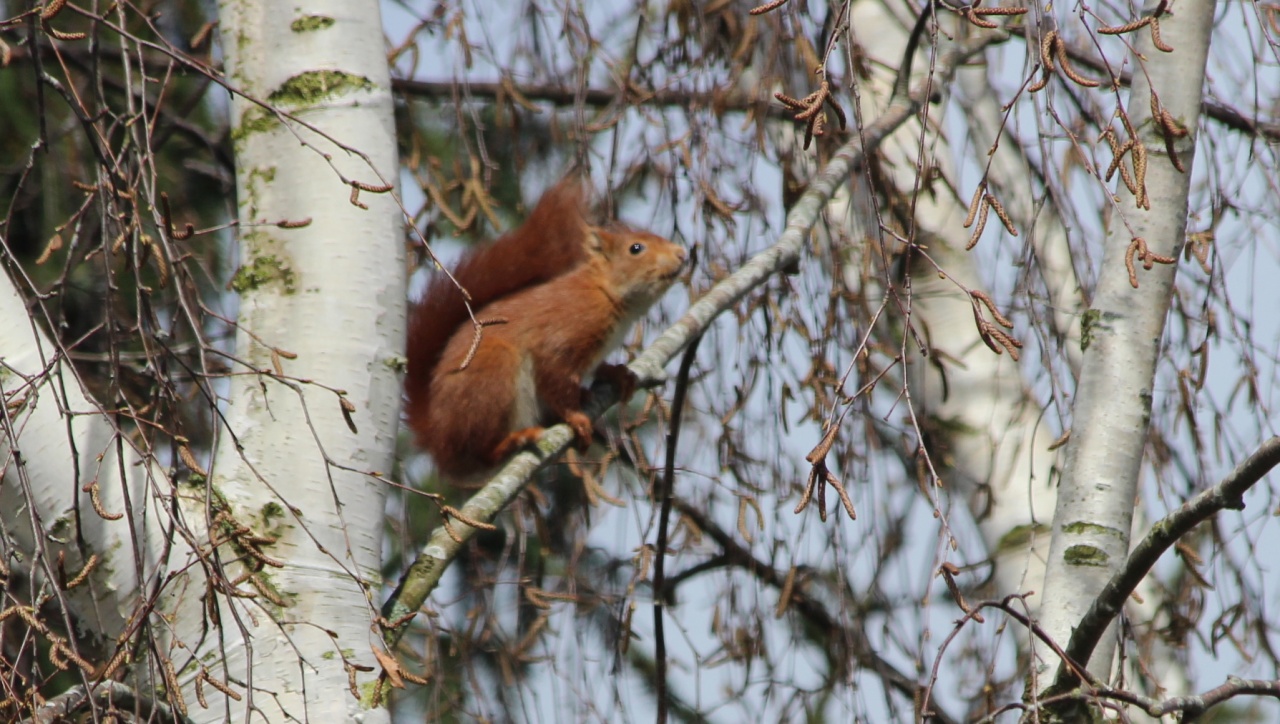 70-300 Sigma APO-img_5804.jpg