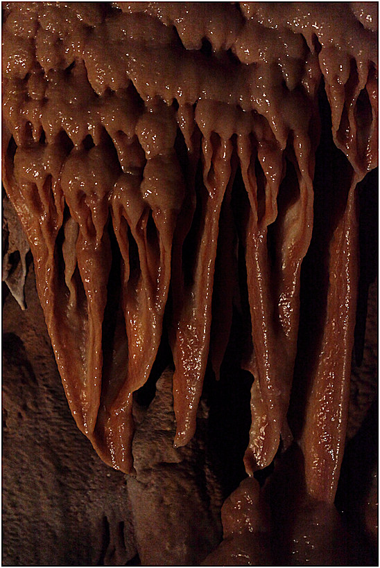 Grotte de Dargilan - dtail