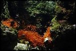 Devellopement-img_0041_720.jpg
