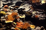 Devellopement-img_9989_720.jpg