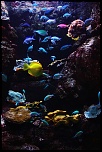 Devellopement-img_0025_820.jpg