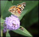 objectif ou long vue-img_0327._3.1.jpg