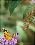 objectif ou long vue-img_0306_4.0.jpg