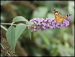 objectif ou long vue-img_0306_6.1.jpg