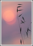 Des conseils...-img_9103.jpg