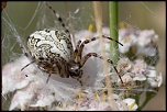 -img_7883-2.jpg