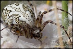 -img_7883-3.jpg