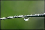 -goutte.jpg