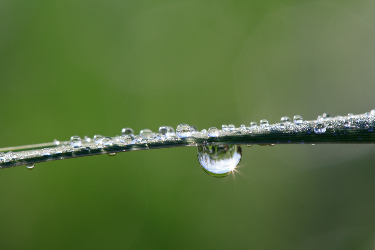 -goutte.jpg