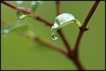 -img_0289.jpg