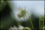 -img_0306.jpg