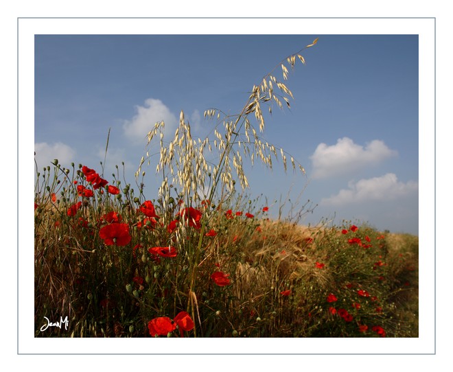Paysage commune de Hosdent.