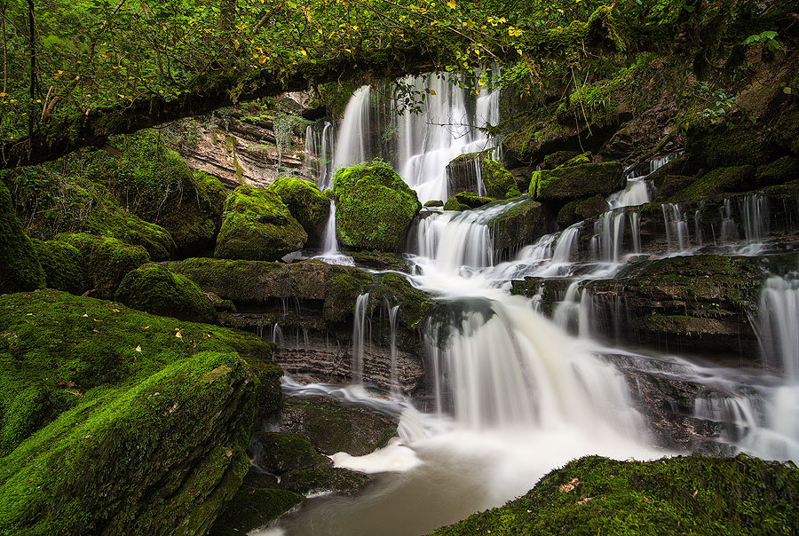Symphony of water
(Jura, France)