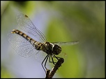 Batteries-_mg_3195-1.jpg