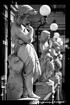 -_mg_8640-2.jpg