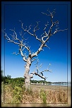 -img_8734-1.jpg