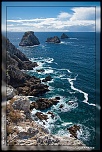 -img_9317.jpg