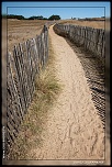 -img_8877.jpg
