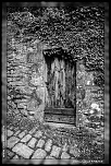 -img_9531-1.jpg