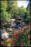 -img_9074.jpg