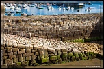 -img_9224.jpg