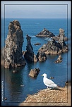 -img_8971.jpg