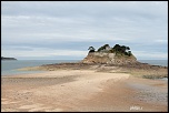 Avez vous le canon 28/105 USM-_mg_5731.jpg