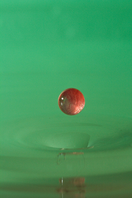 Tube allonge Kenko-5321.jpg