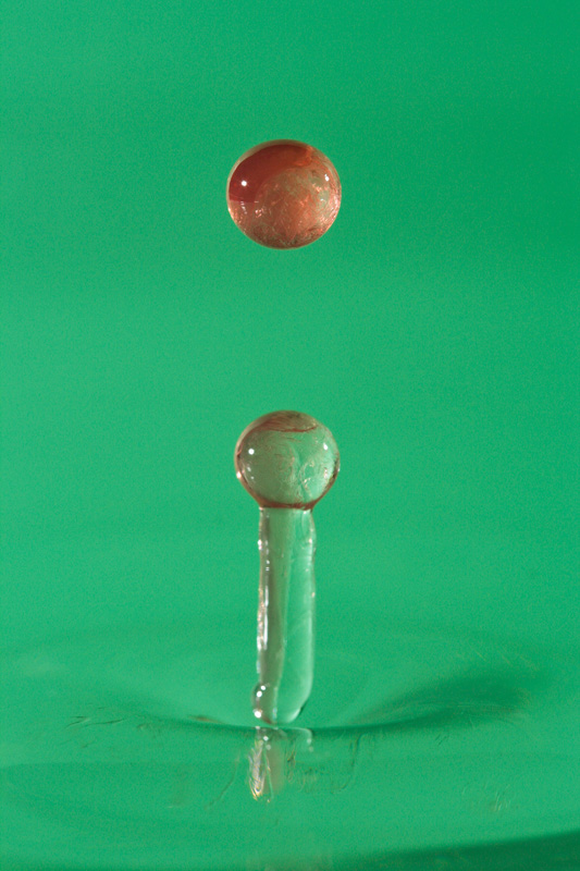 Tube allonge Kenko-5324.jpg