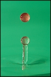 Tube allonge Kenko-5324.jpg