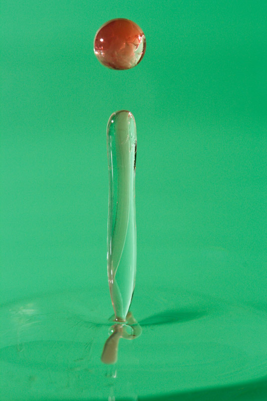 Tube allonge Kenko-5325.jpg